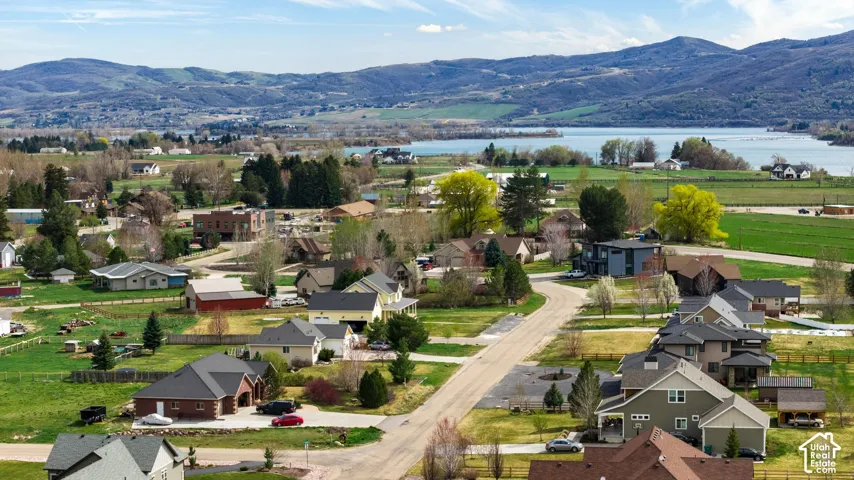 Aerial perspective featuring a landscape of mature trees, expansive pasture land, and a prominent mountain range backdrop