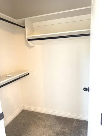 Walk-in closet featuring tiered shelving, matte black hanging rods, and neutral carpeting