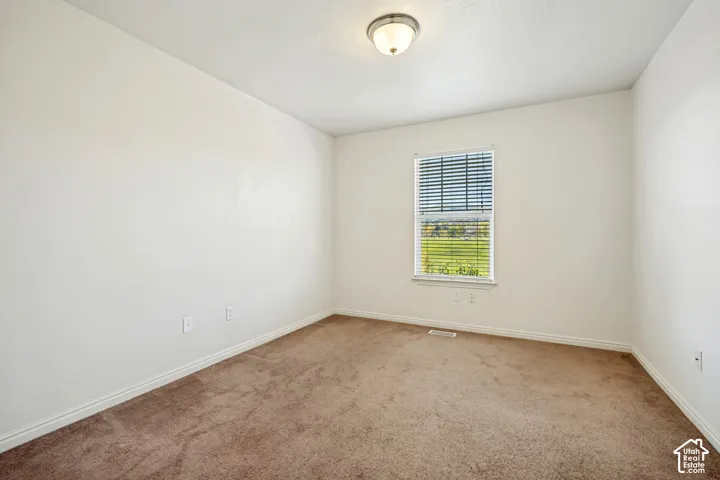 Neutral-toned interior space featuring plush carpeting, crisp white wall finishes, a centered window with horizontal blinds, and a dome-style flush mount ceiling light fixture