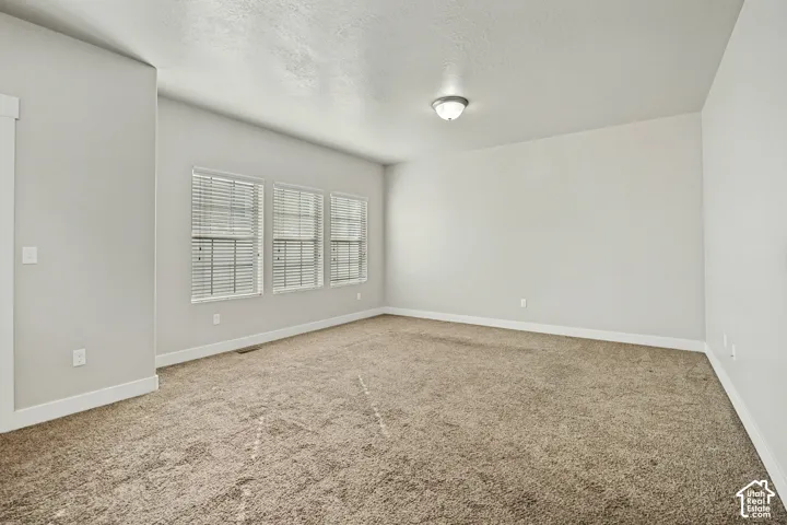 Room featuring neutral wall tones, carpeted flooring, a ceiling-mounted light fixture, and three windows fitted with horizontal blinds