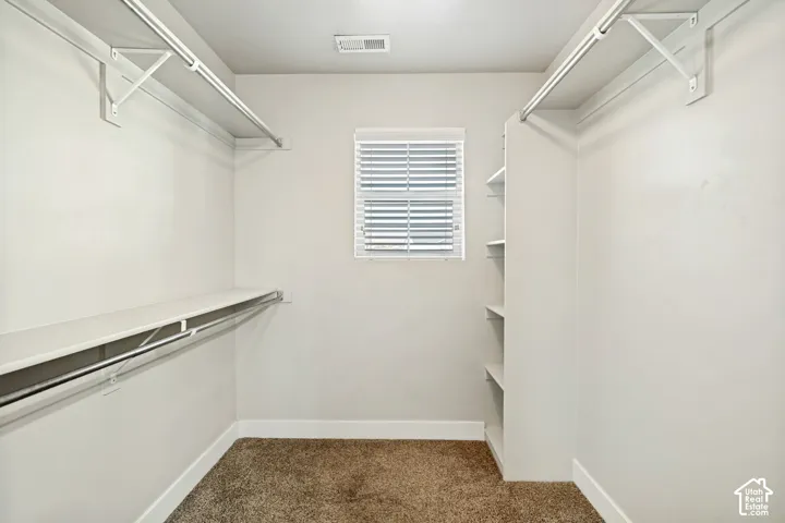 Walk-in closet featuring neutral carpet, integrated hanging rods, built-in shelving, and a window with horizontal blinds