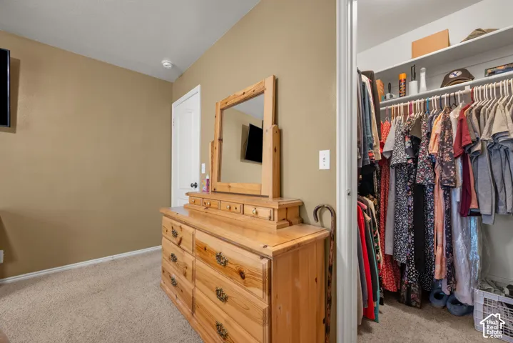 Walk-in closet featuring built-in shelving, carpeted flooring, and a six-panel interior door