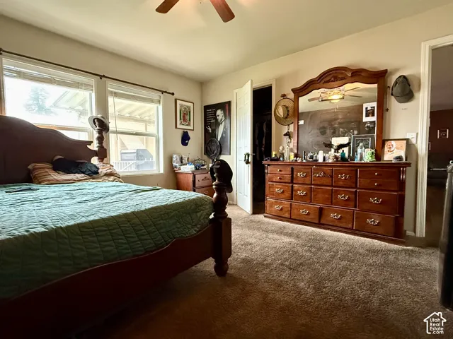 Wall-to-wall carpeting, ceiling fan with light fixture, and dual windows with curtain rod hardware