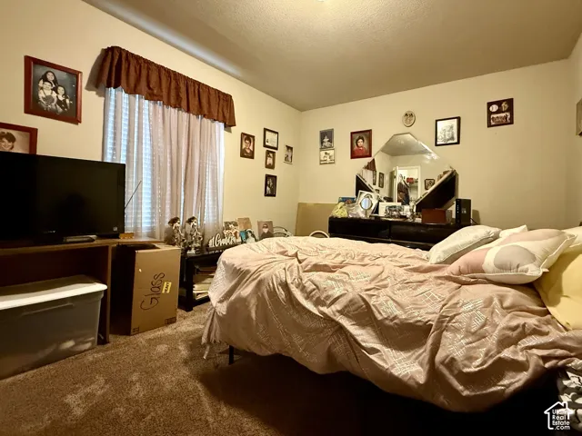 Bedroom featuring wall-to-wall carpeting, a large window with a fabric valance, and a diamond-shaped wall-mounted mirror