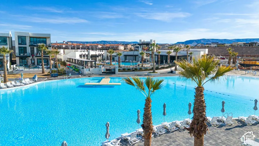 Large swimming pool with a central floating platform, concrete paver decking, and mature palm trees