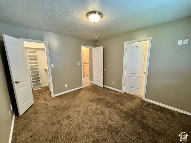 Room featuring wall-to-wall carpeting, three raised-panel interior doors, a walk-in closet with built-in shelving, and a flush-mount ceiling light fixture