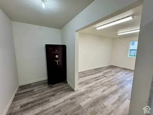 Interior space featuring wood-finish flooring, dual flush-mount ceiling light fixtures, and a singular window