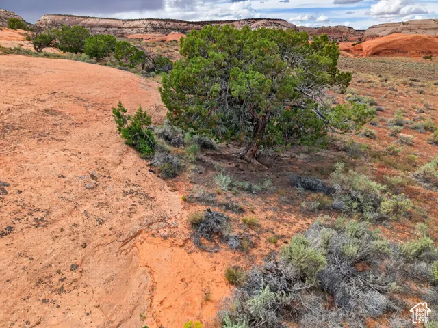 1 Jail Rock Rd, Monticello, Utah 84535