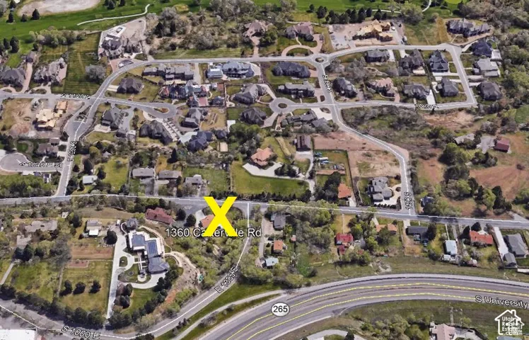 Aerial perspective of a residential lot featuring mature tree clusters, established landscaping, and paved street access within a suburban neighborhood setting
