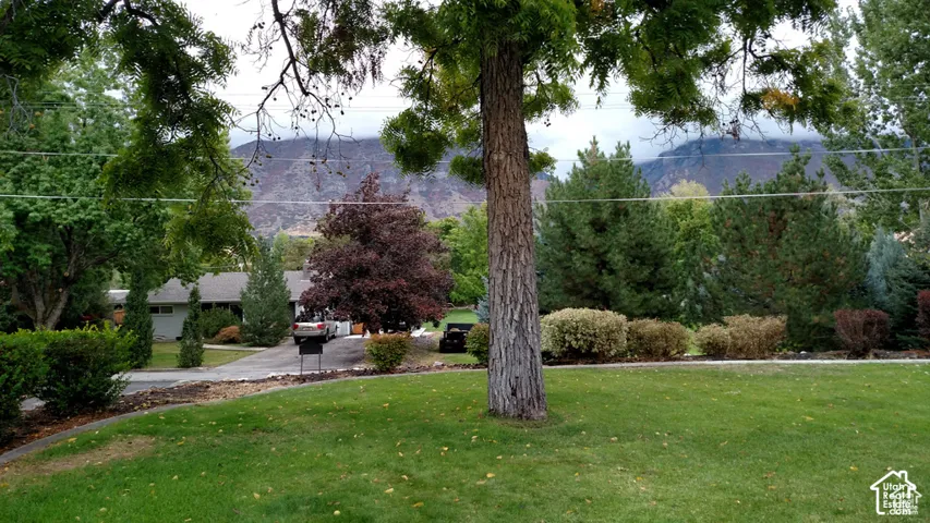 Expansive lawn featuring mature trees and shrubs with a prominent mountain backdrop