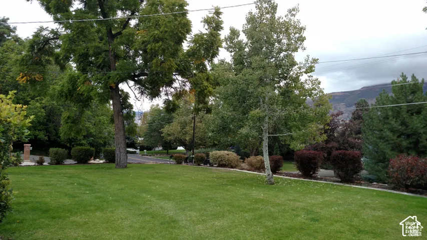 Expansive lawn featuring mature trees, landscaped shrubbery, and stone edging