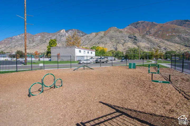 Fenced dog park