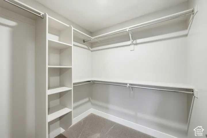 Walk-in closet featuring white built-in shelving, dual-tier hanging rods, and neutral carpeting