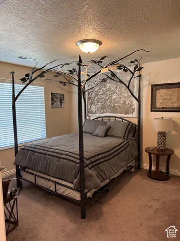 Room featuring neutral carpeting, textured wall finish, and a ceiling-mounted dome light fixture