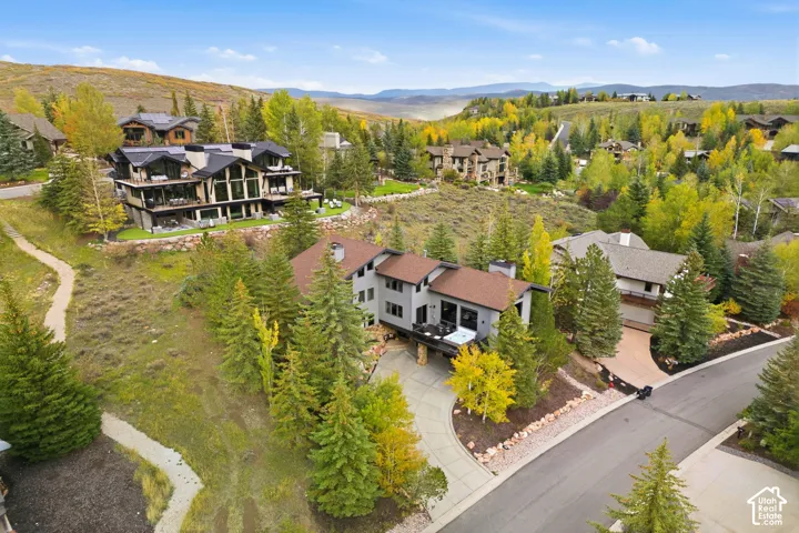 Multi-level residence with extensive natural landscaping, a paved driveway, and multiple mature trees