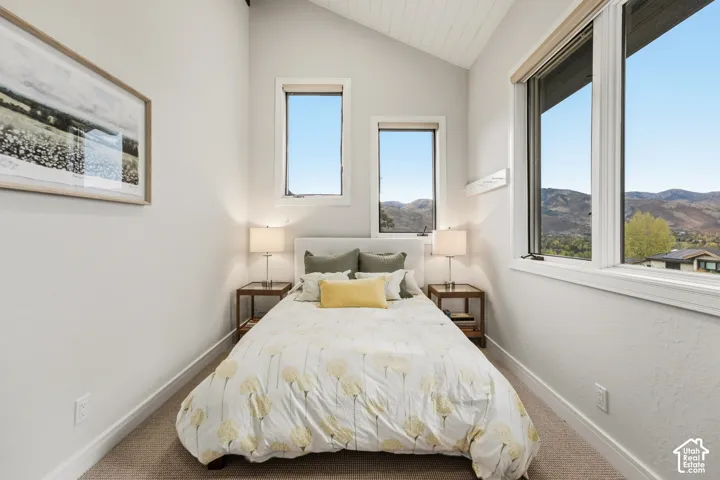 Vaulted ceiling with wood-finish paneling