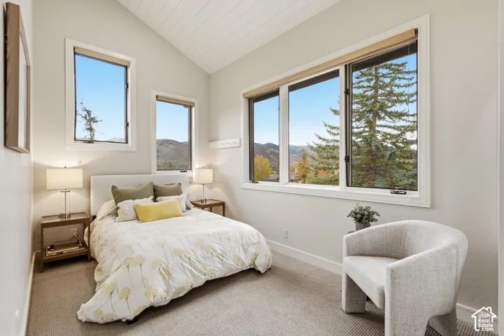 Vaulted ceiling with wood-finish paneling, multiple large windows, and neutral wall tones