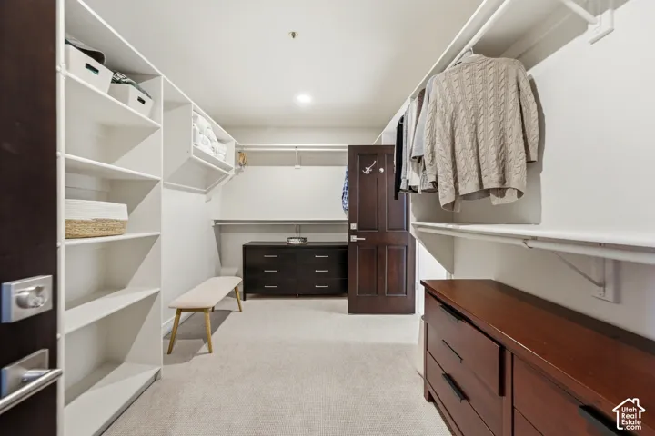 Built-in shelving, hanging rods, recessed lighting, and a dark wood-finish door