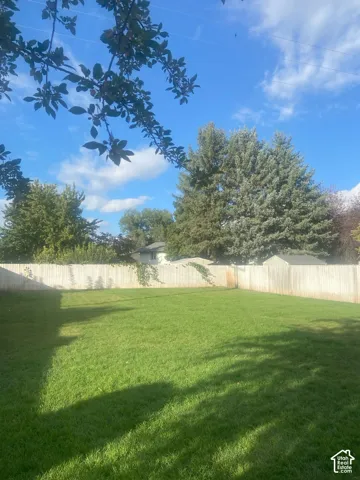 Expansive backyard with fence