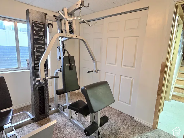 Room featuring wall-to-wall carpeting, dual-panel closet doors, and a window with a metal frame
