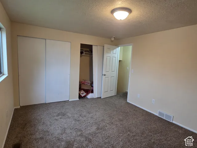 Room featuring neutral-toned walls, carpeted flooring, sliding closet doors, and a ceiling-mounted light fixture
