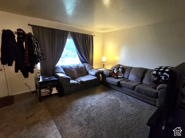 Neutral-toned living space featuring wall-to-wall carpeting and tile flooring, highlighted by a window with natural light