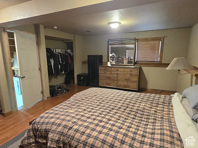 Room featuring wood-finish flooring, a recessed closet with built-in shelving, a ceiling-mounted light fixture, and horizontal window blinds