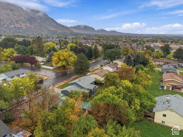 Aerial showcasing mature trees and mountain backdrop