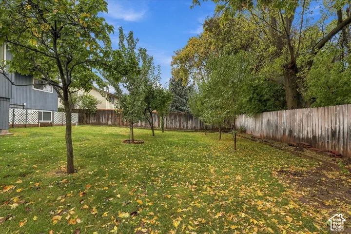 Fruit Trees