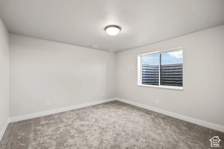 Spacious room featuring neutral carpeting, light-toned walls, and a visible window well