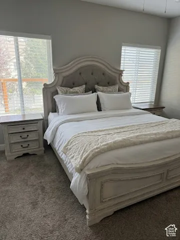 Neutral-toned carpeting, dual windows with horizontal blinds, and a ceiling-mounted light fixture