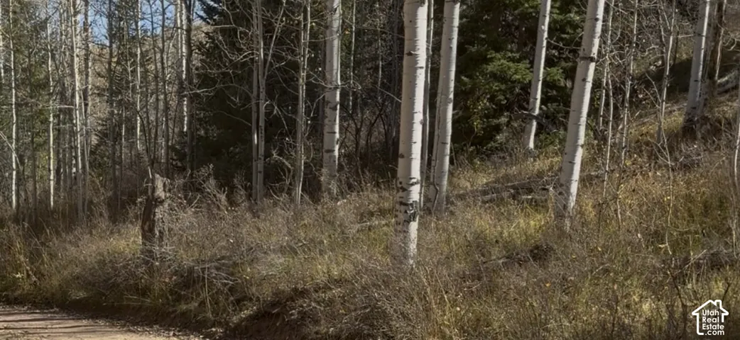 Additional content