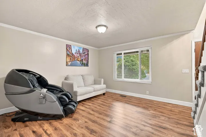 Wood-finish flooring, neutral wall tones, crown molding, flush-mount ceiling lighting, and a multi-pane window with horizontal blinds