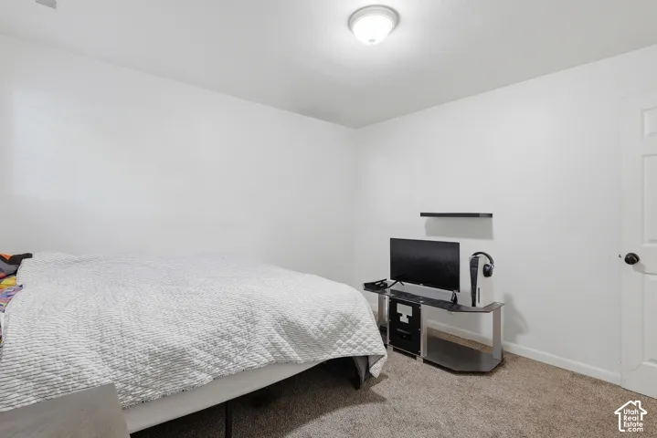 Carpeted flooring, white painted walls, ceiling-mounted light fixture, and a paneled interior door