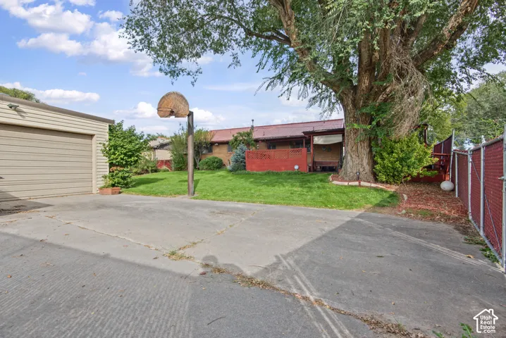 Detached garage featuring a roll-up door, concrete driveway, and mature trees