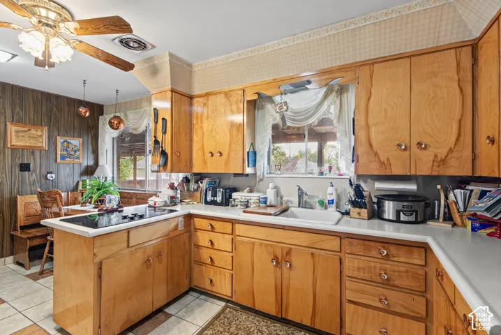 Kitchen featuring wood-finish cabinetry, integrated cooktop, ceiling fan, and a window above the sink