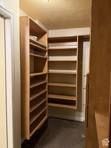 Built-in wood-finish cabinetry featuring adjustable shelving, integrated wire-rack pull-out drawers, and carpeted flooring