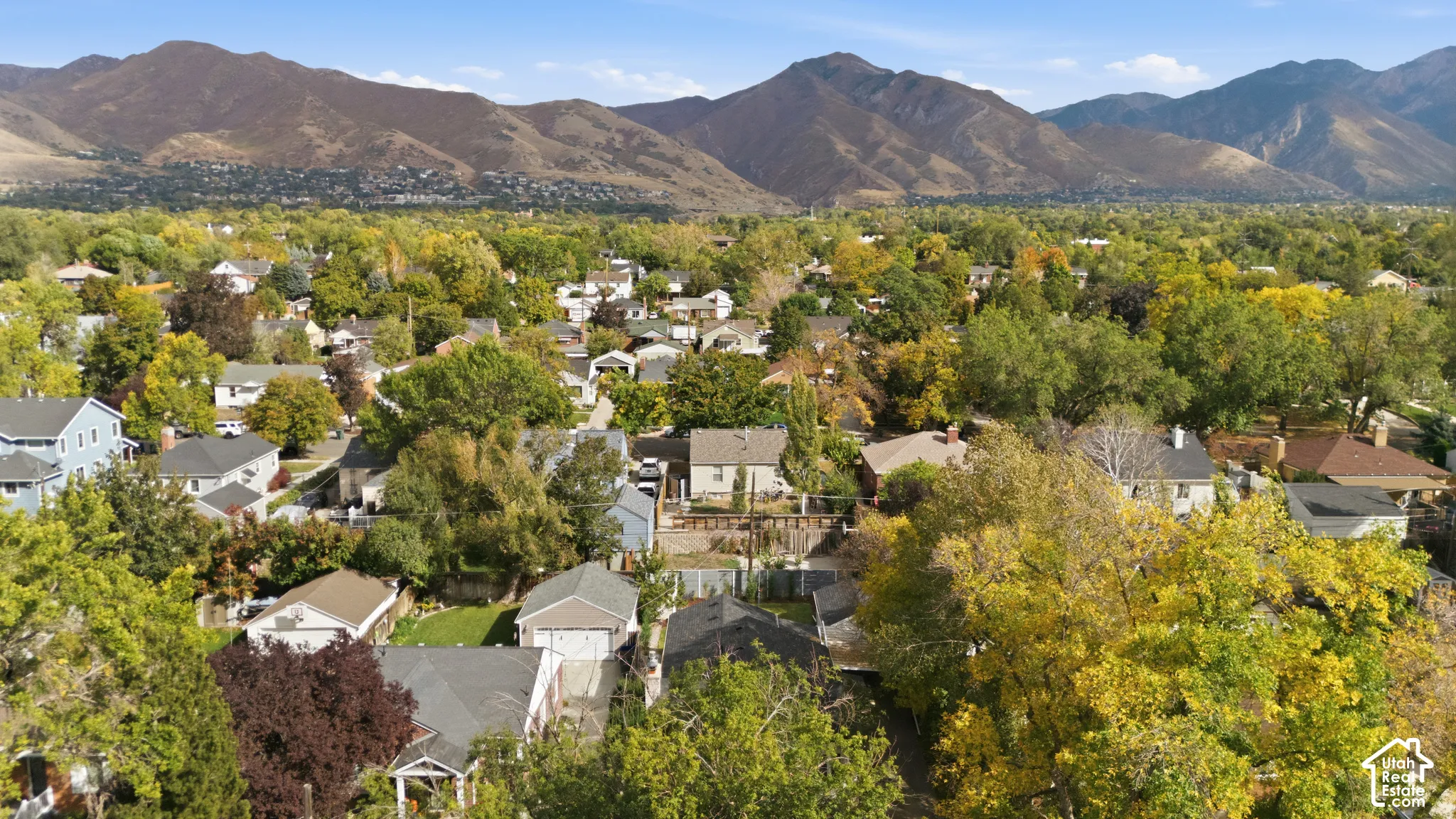 Additional content
