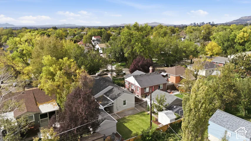Green residential neighborhood with mature trees