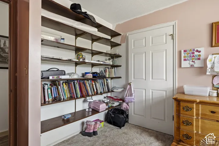 Built-in wall shelving with adjustable stained wood surfaces and a white six-panel interior door