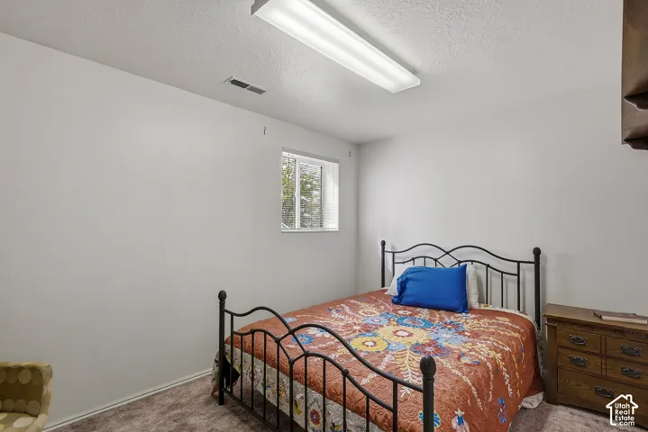 Neutral-toned bedroom featuring carpeted flooring and a single-pane window