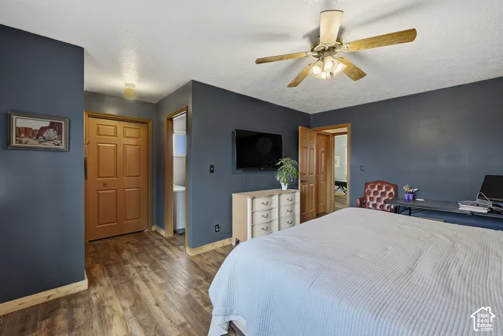Interior space featuring wood-finish flooring, charcoal-toned walls, and a ceiling-mounted light fixture with a multi-blade fan