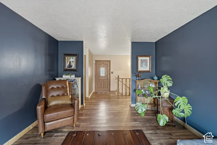 Entrance area featuring deep-toned walls, wood-finish flooring, and a multi-panel exterior entry door with glass inlay