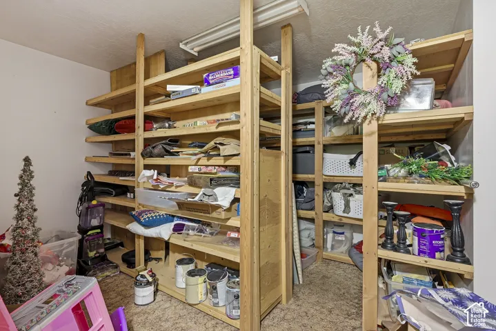 Storage space featuring floor-to-ceiling built-in wood shelving units and overhead strip lighting