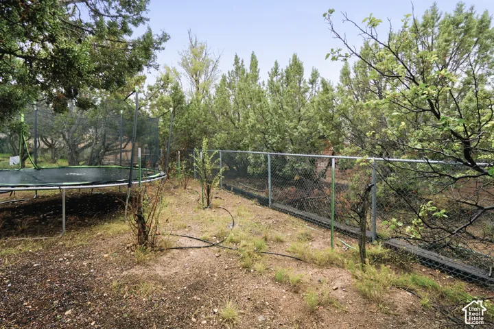 Backyard area featuring mature trees, natural ground cover, and metal chain-link perimeter fencing