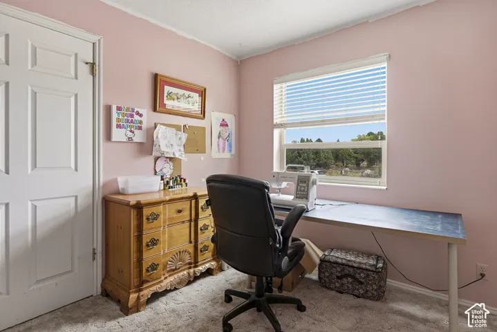 Interior room featuring a six-panel door, neutral carpeting, and a multi-pane window with installed blinds