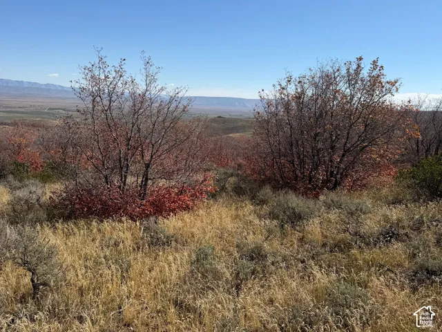Expansive terrain featuring varied natural foliage and distant mountain ranges