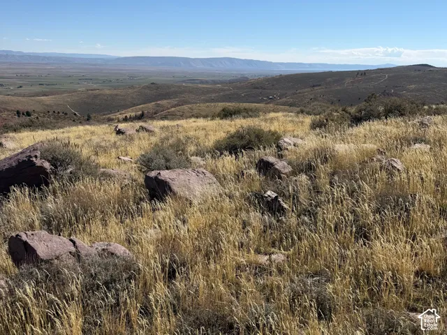 Expansive natural landscape with varied terrain, featuring mature grasses, natural rock formations, and distant mountain ranges under a clear sky