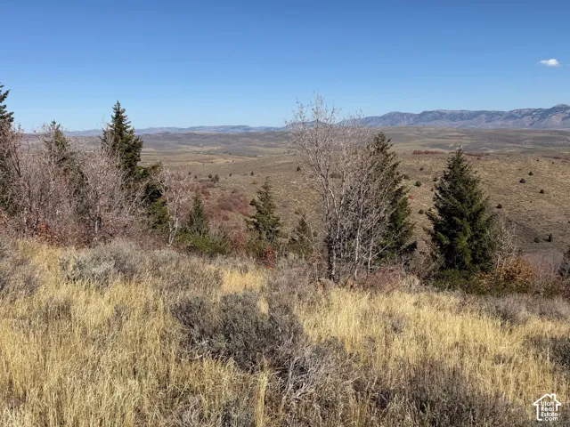 Expansive landscape featuring diverse vegetation, distant mountainous terrain, and a clear sky