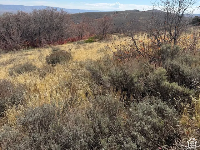 Expansive open landscape featuring natural brush, varied ground cover, and distant mountains